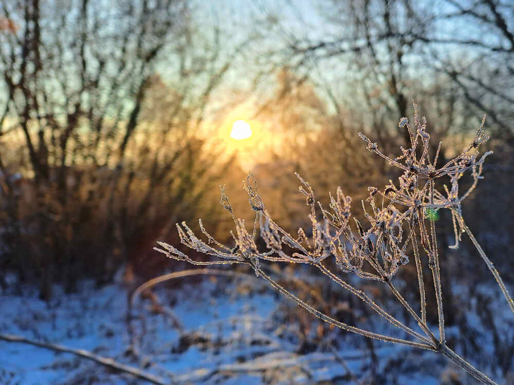 Photograph by Третьякова Наталья