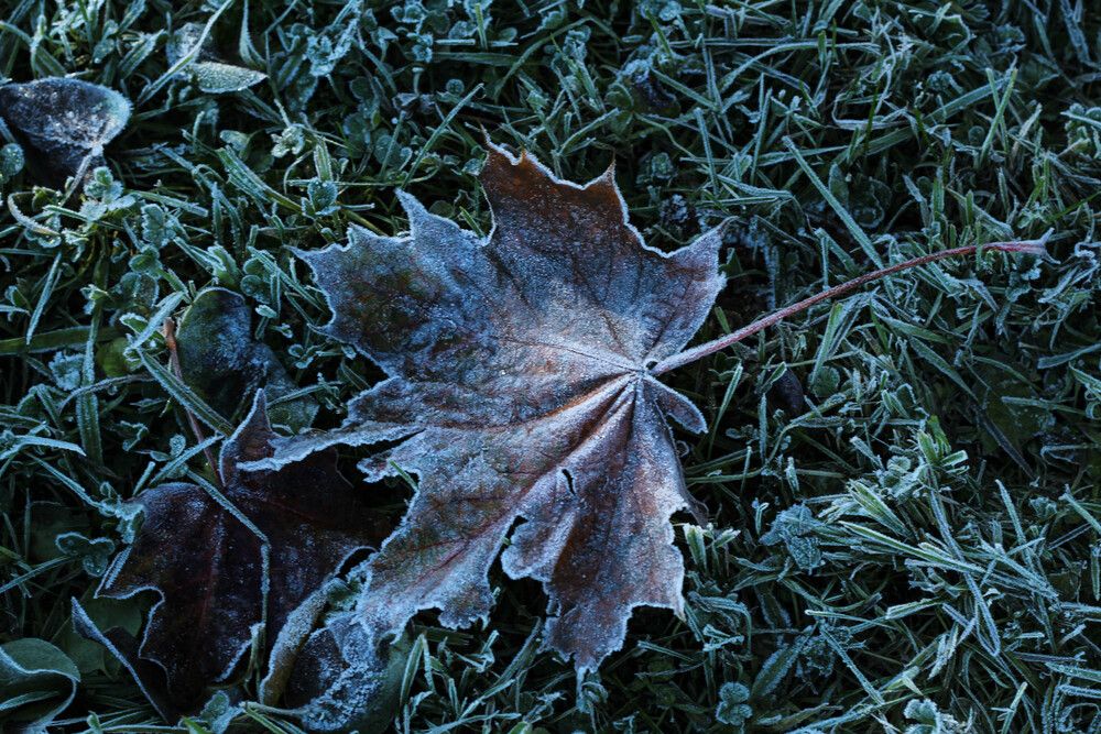 Photograph by Наталия Козлова