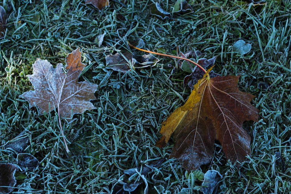 Photograph by Наталия Козлова