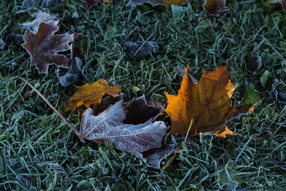 Photograph by Наталия Козлова