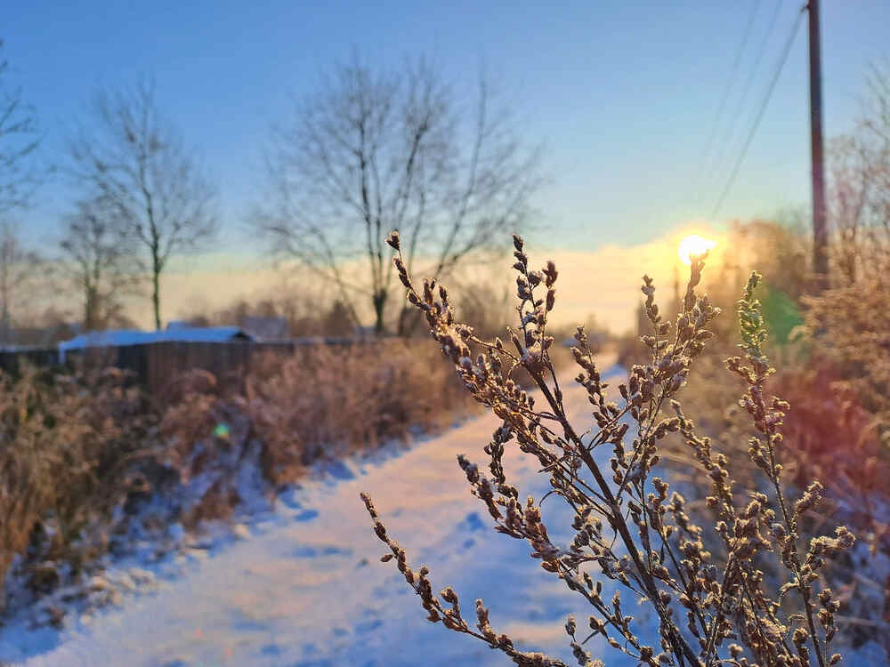 Photograph by Третьякова Наталья