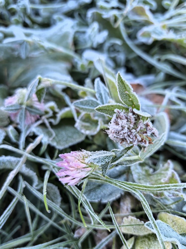 Photograph by Анастасия Проскурнова