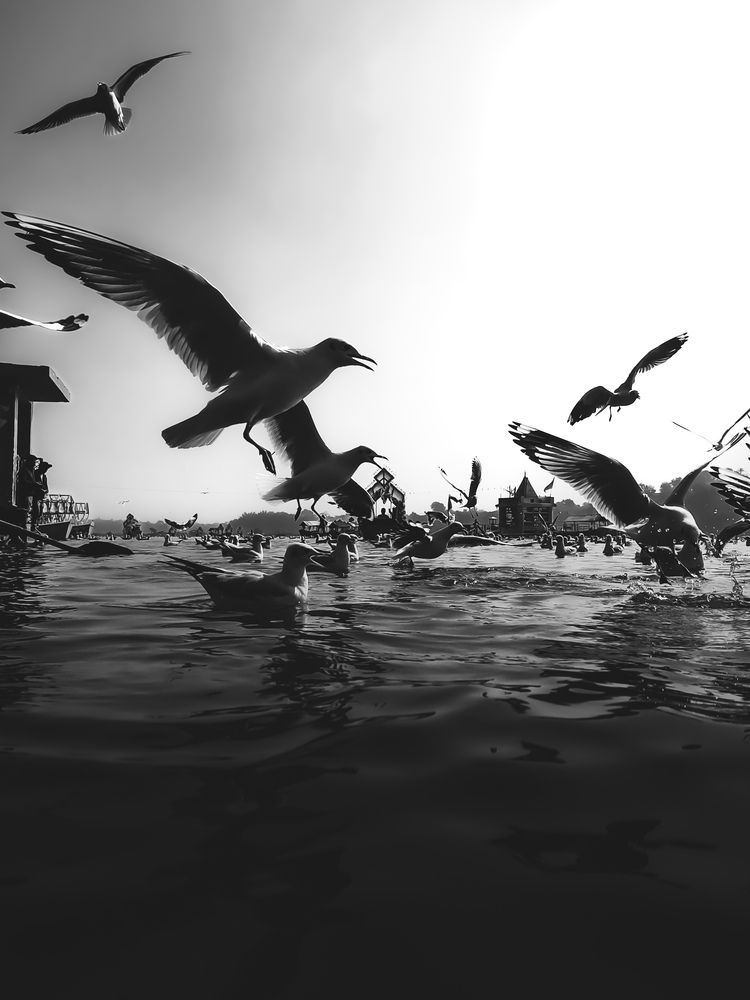 Photograph by Evan John Lakra