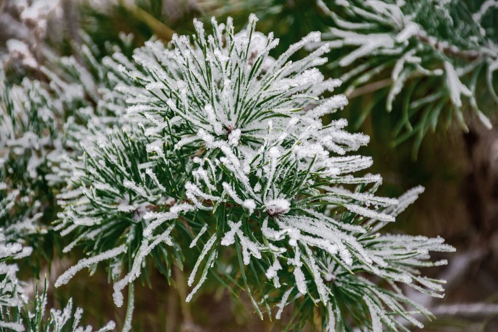 Photograph by Людмила Баймухаметова