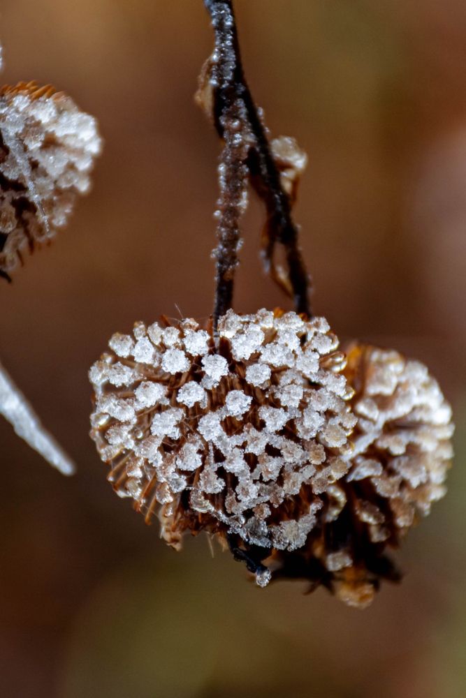 Photograph by Людмила Баймухаметова