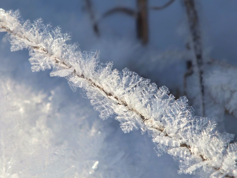 Фотография автора Андрей Шестаков