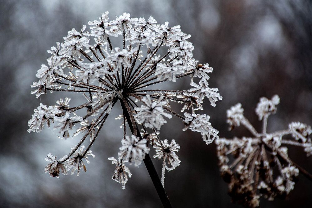 Photograph by Людмила Баймухаметова