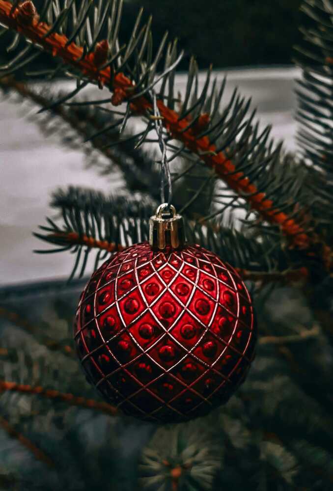 Фотография автора Юлия Юрьевна