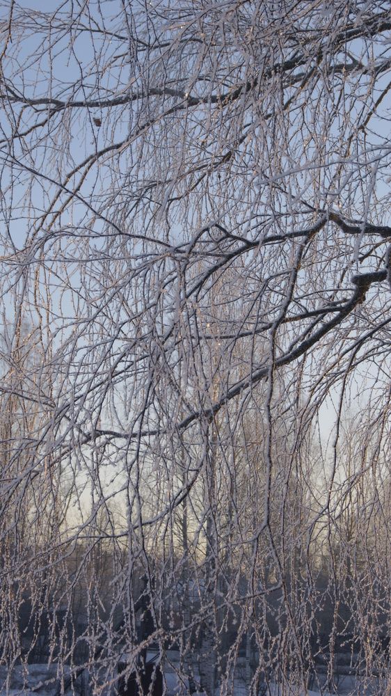 Photograph by Лариса Андреева