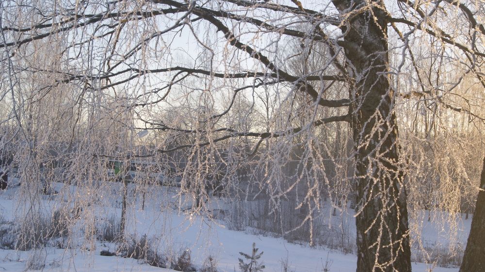 Photograph by Лариса Андреева