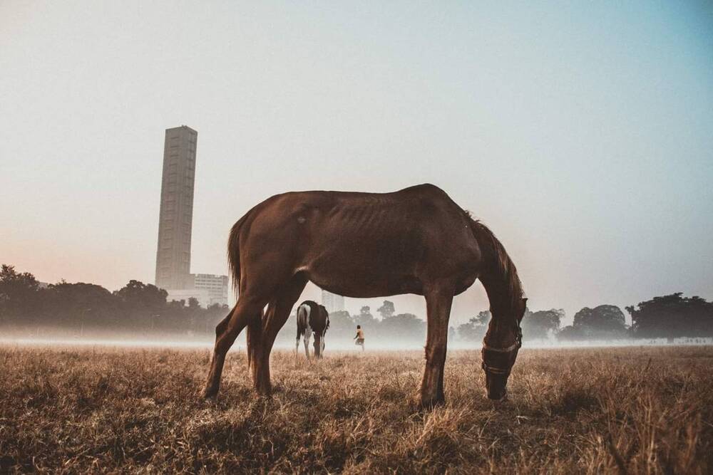 Photograph by Aditya Ghosh