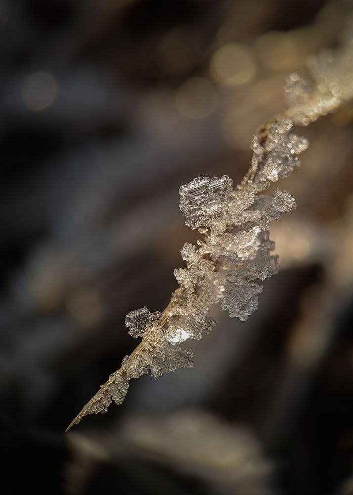 Фотография автора Ольга Кунакова