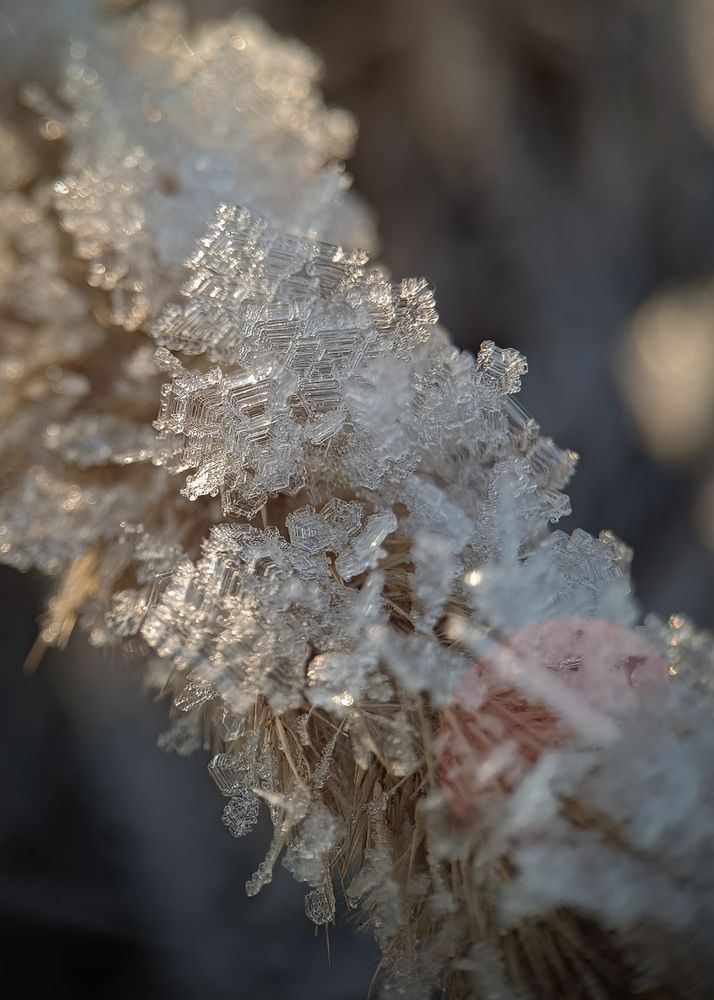 Фотография автора Ольга Кунакова