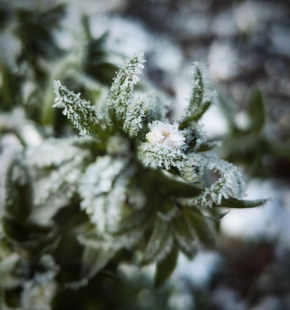 Photograph by Ярославна