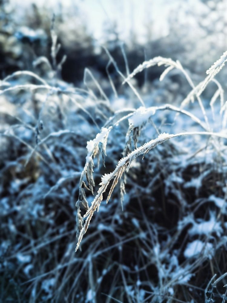 Photograph by Ярославна