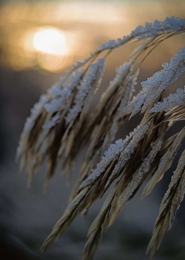 Фотография автора Ольга Кунакова