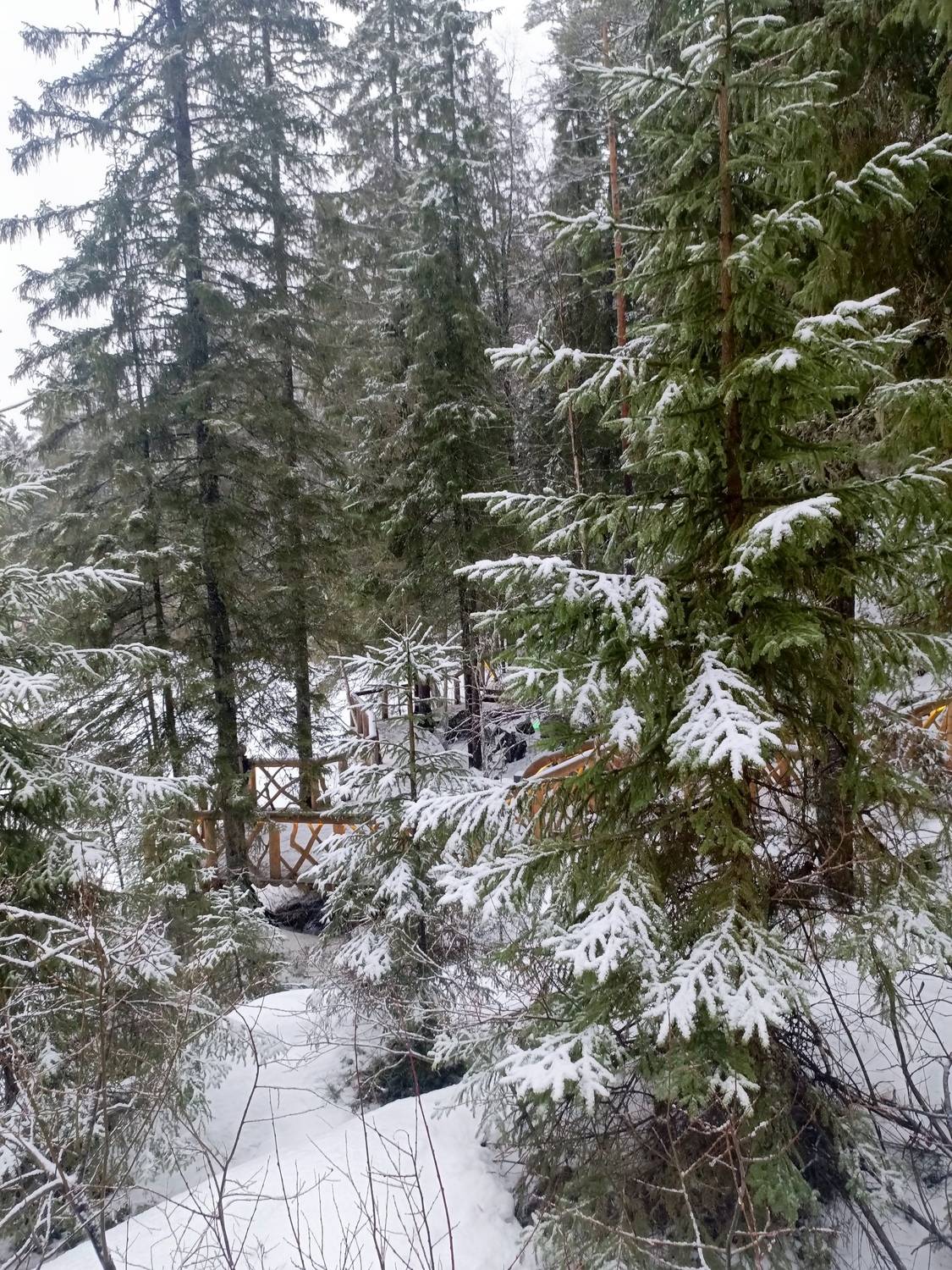 Photo #13001191