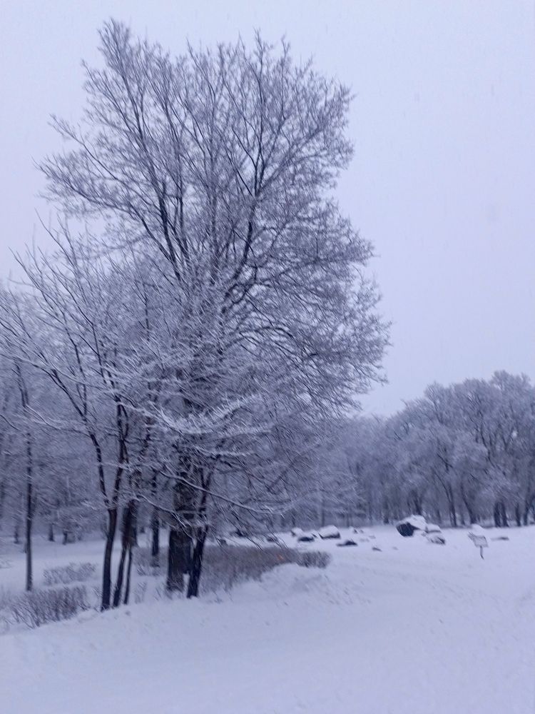Photo #13001193