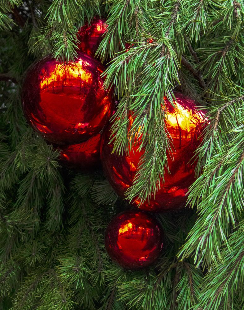 С Новым годом!
