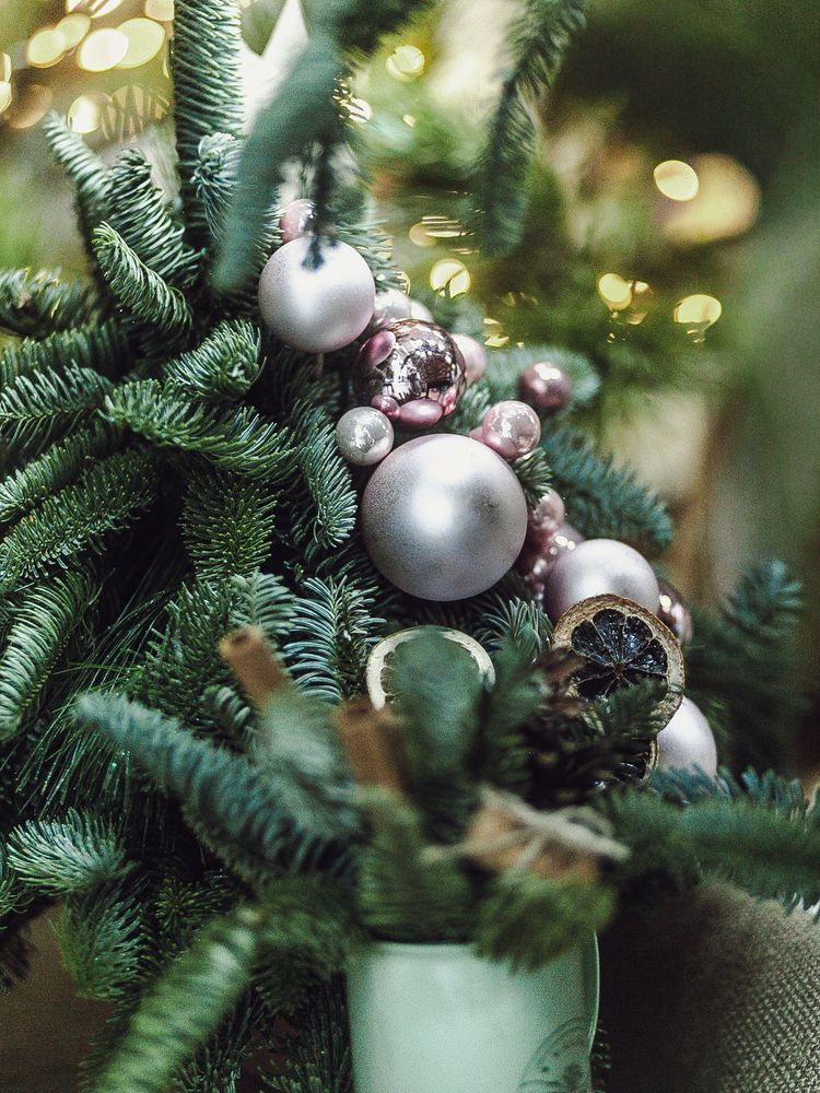 Фотография автора Elena Chilikina