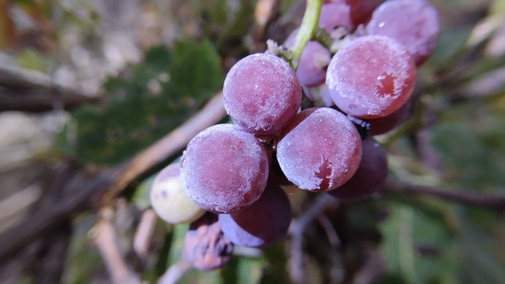 Photograph by Сергей Юрьевич