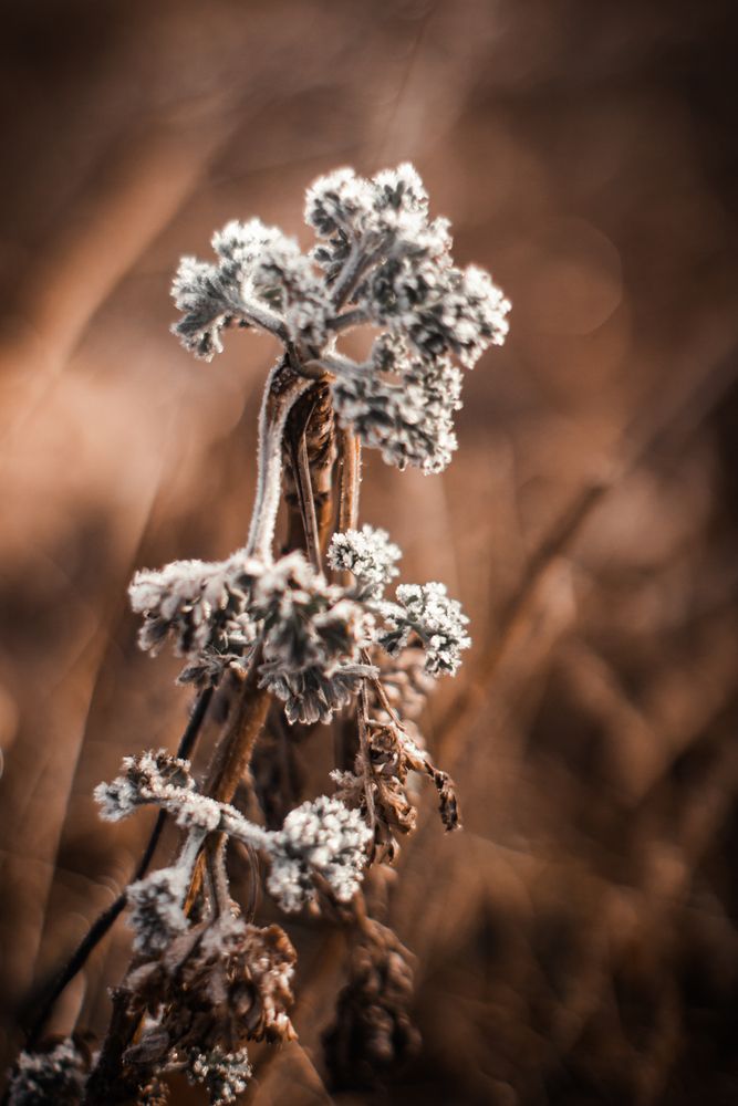 Photograph by Иван Полиненко