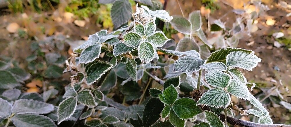 Photograph by Сергей Юрьевич