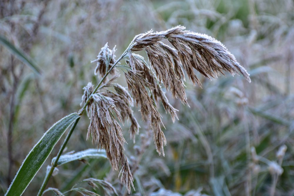 Photograph by Дмитрий Петров