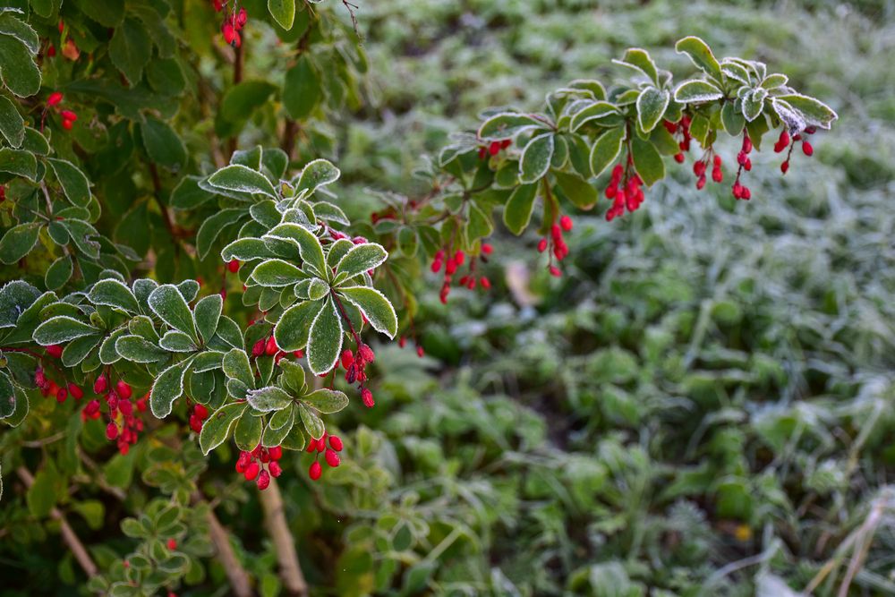 Photograph by Дмитрий Петров