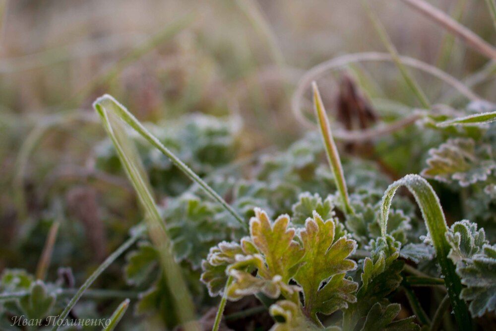 Photograph by Иван Полиненко