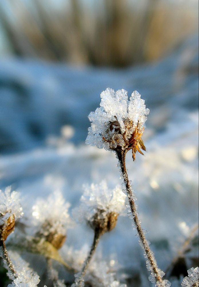 Photograph by Pavel Gukov