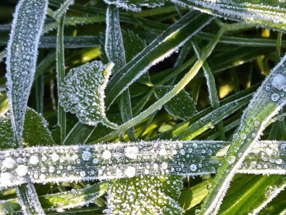 Photograph by Olga Kot