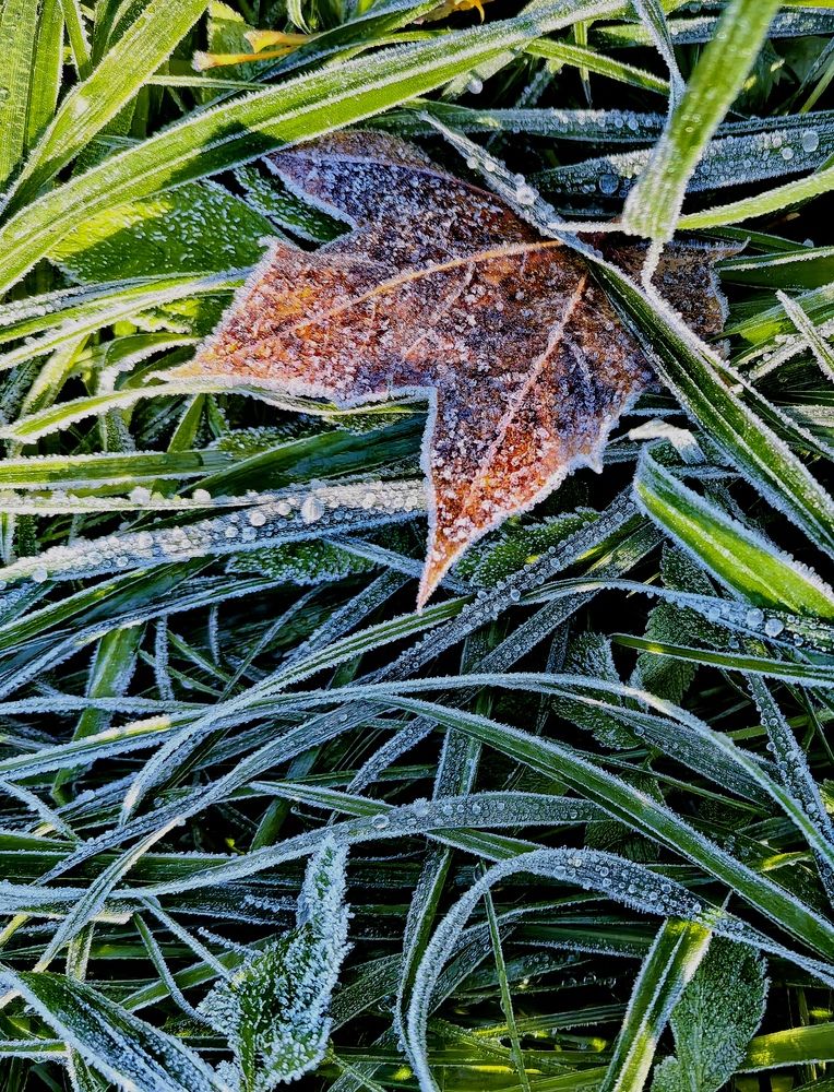 Photograph by Olga Kot