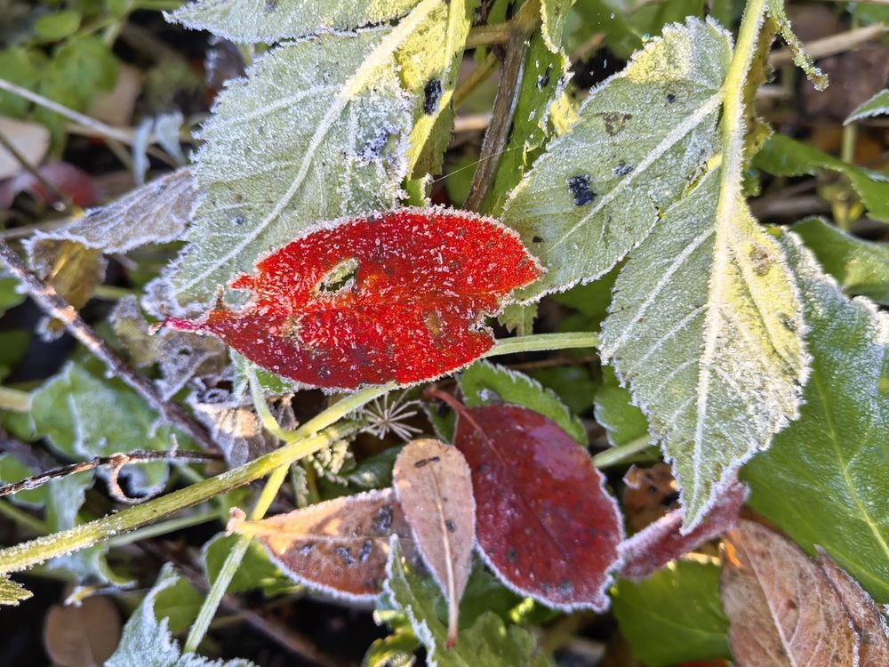 Photograph by Olga Kot