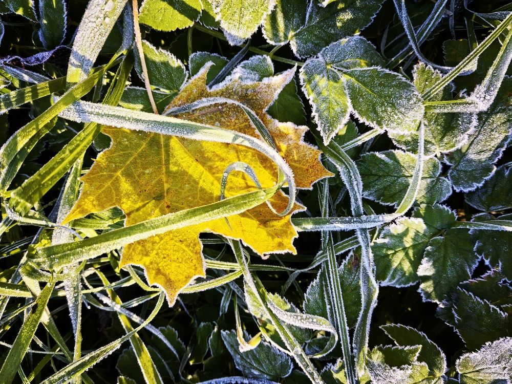 Photograph by Olga Kot