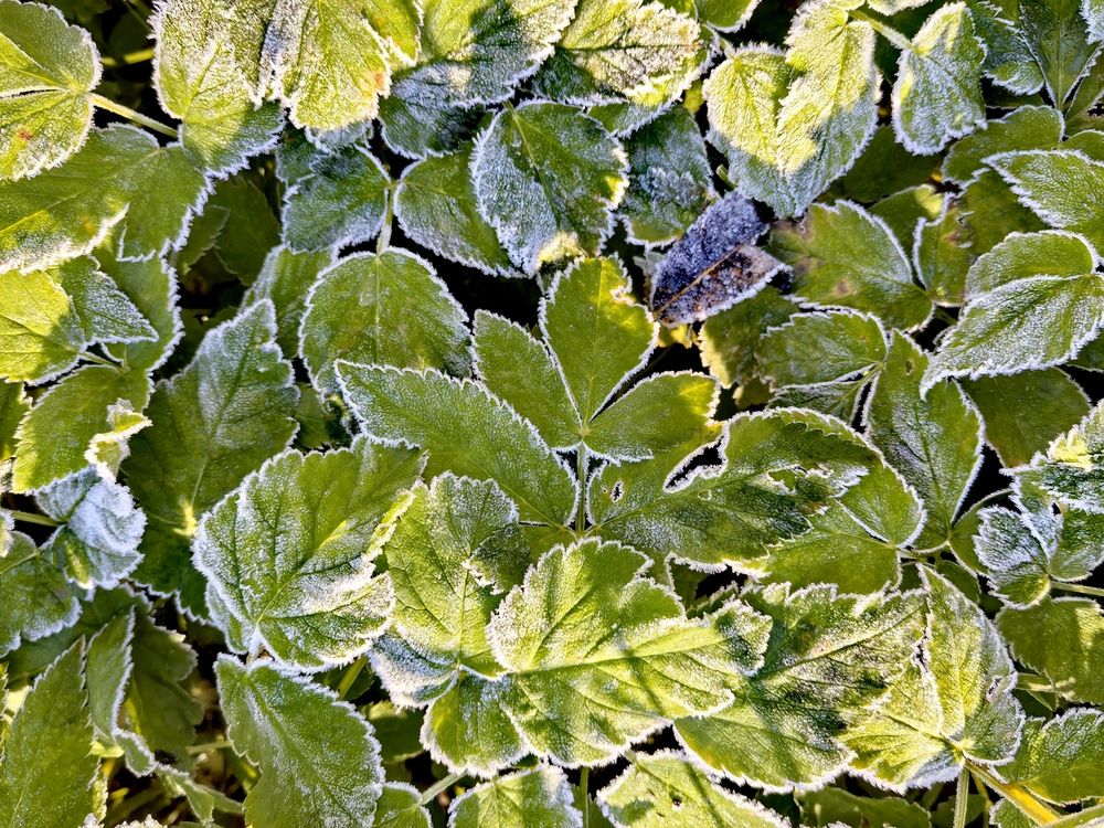 Photograph by Olga Kot