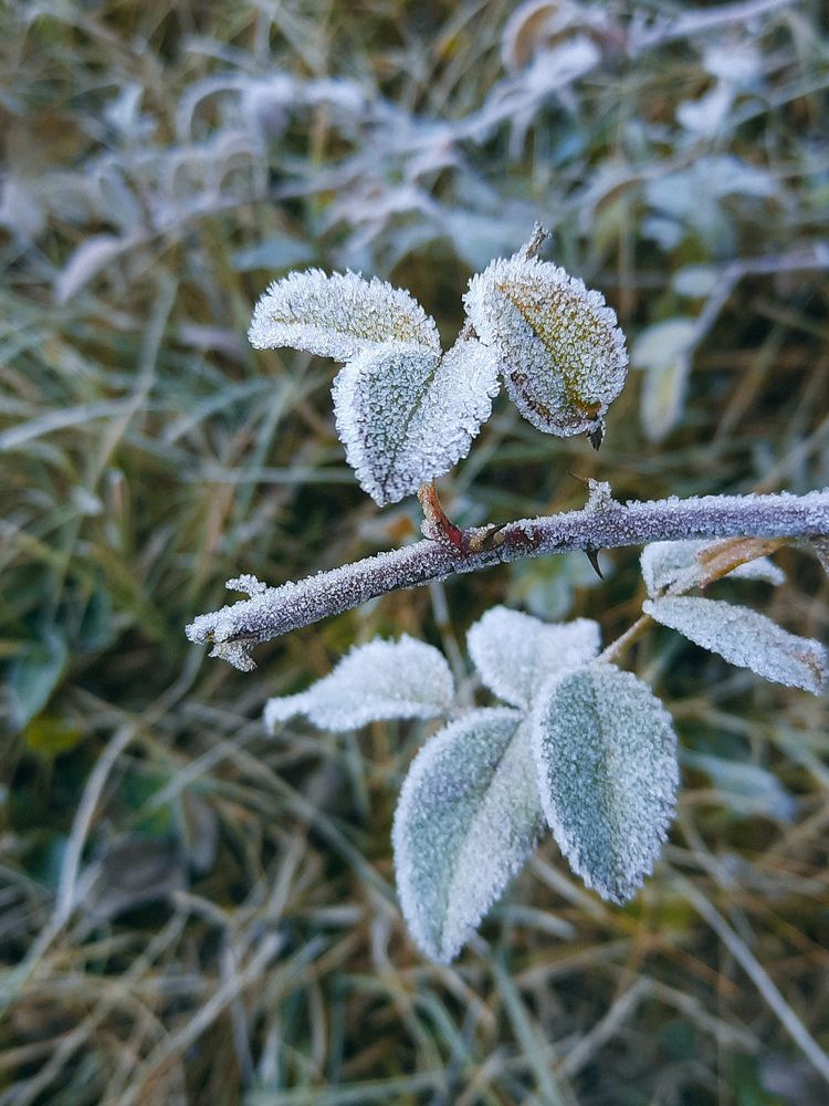 Photograph by Александра Ельникова