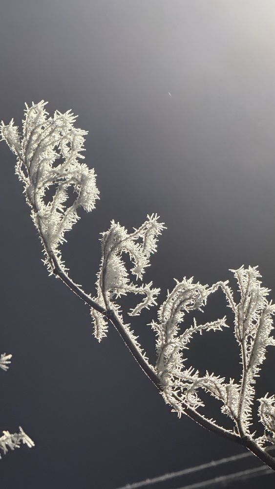 Photograph by Елена Гущина