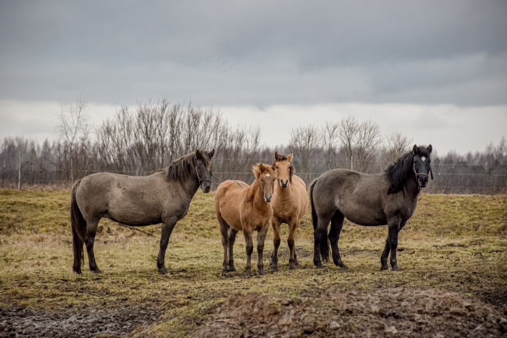 Photograph by Андрей Куракин