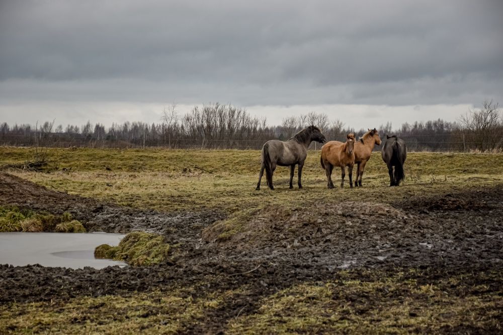 Photograph by Андрей Куракин