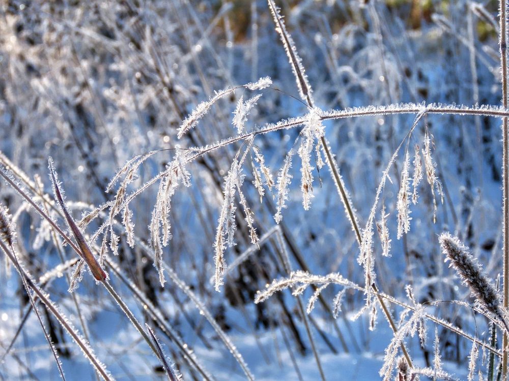 Фотография автора Екатерина Солохина