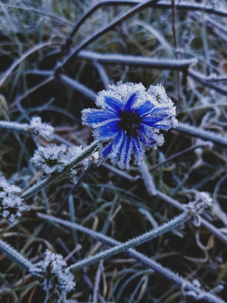 Photograph by Александра Ельникова