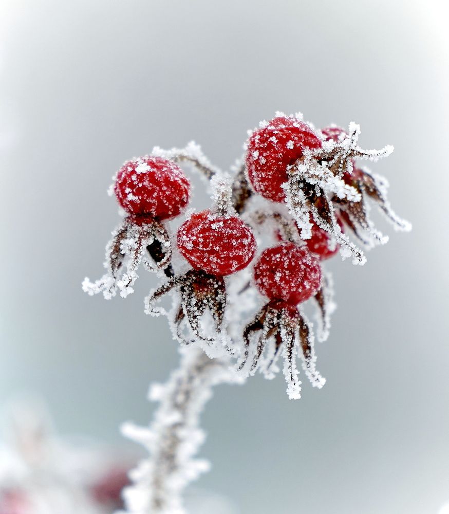 Photograph by Андрей Некрашевич