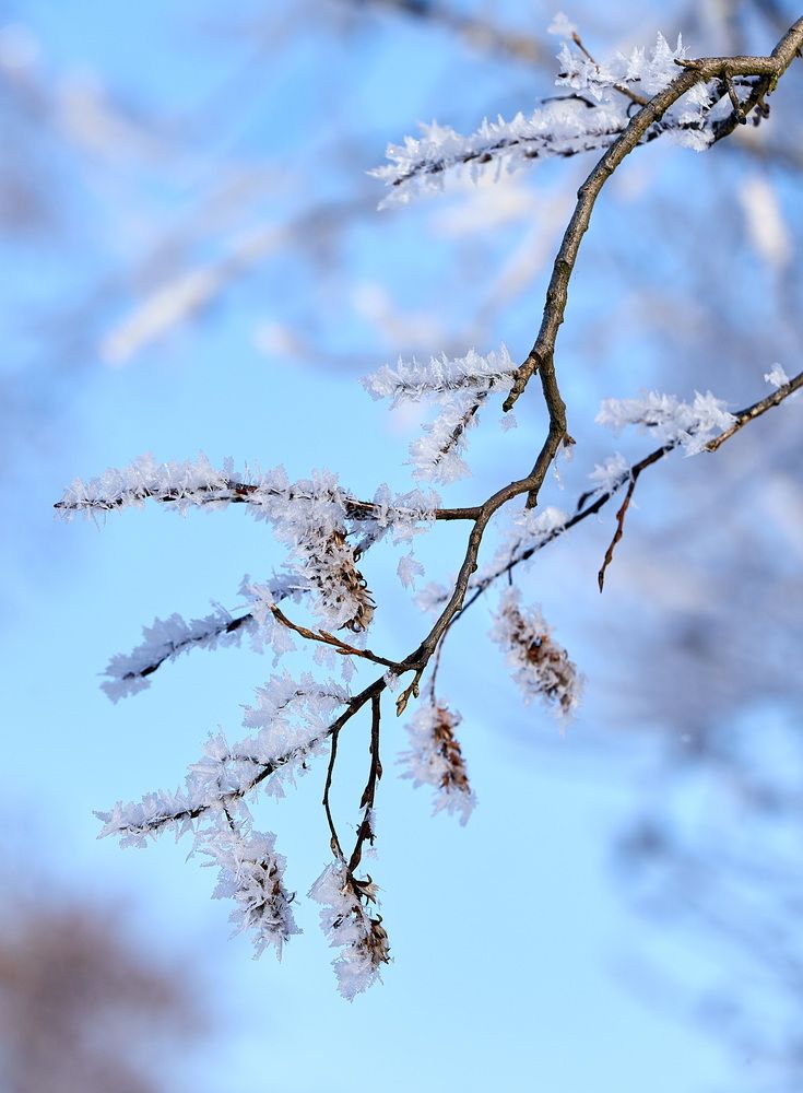 Photograph by Андрей Некрашевич