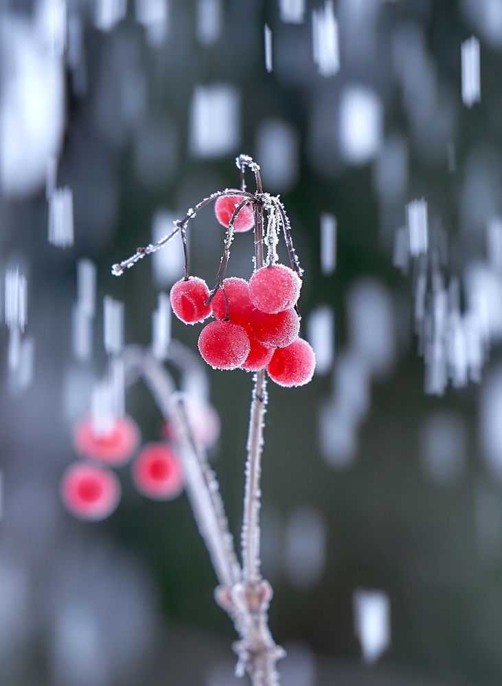 Photograph by Андрей Некрашевич