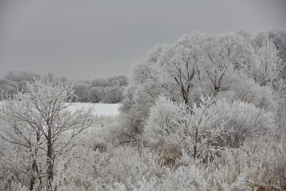 Фотография автора Наталия Мащенко