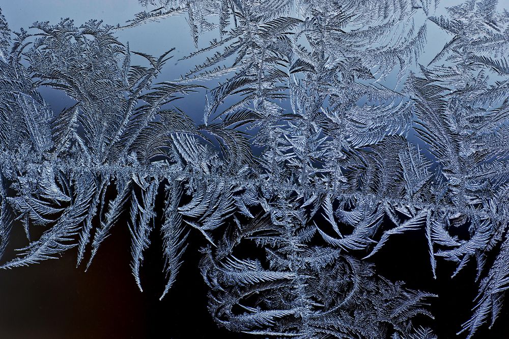 Photograph by Allan Wallberg