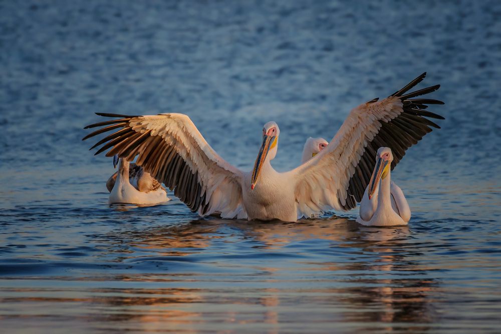 Photograph by Марина Ческис