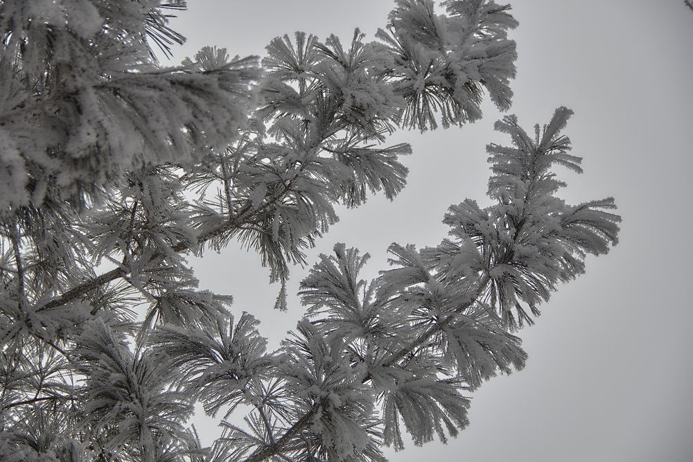 Фотография автора Наталия Мащенко
