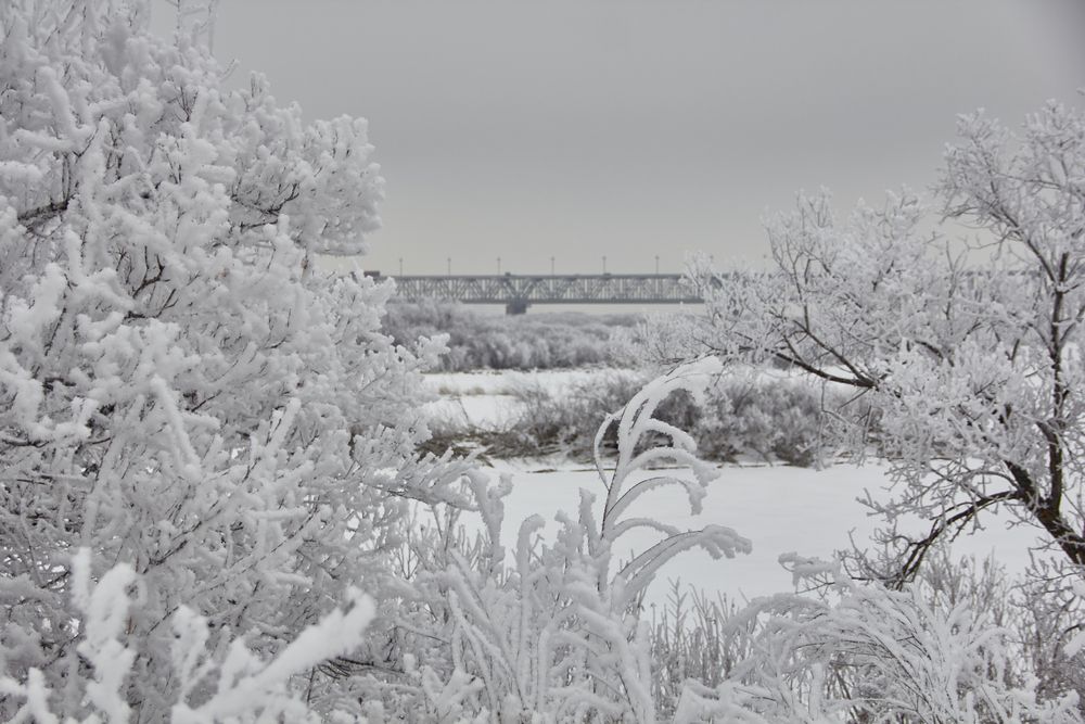Фотография автора Наталия Мащенко